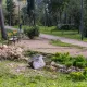 Kišni vrt u parku Vruljica