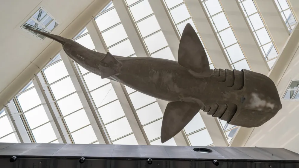 Hrvatski prirodoslovni muzej, Zagreb