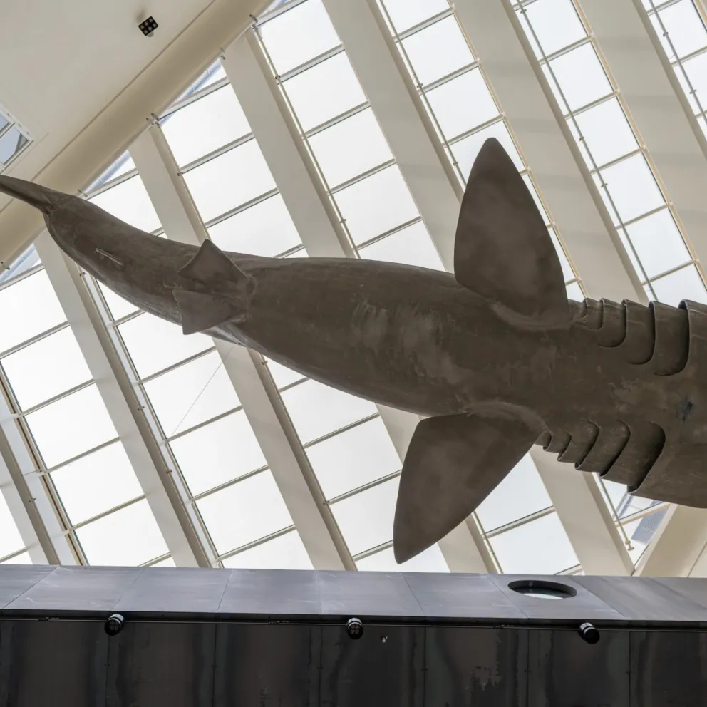 Hrvatski prirodoslovni muzej, Zagreb