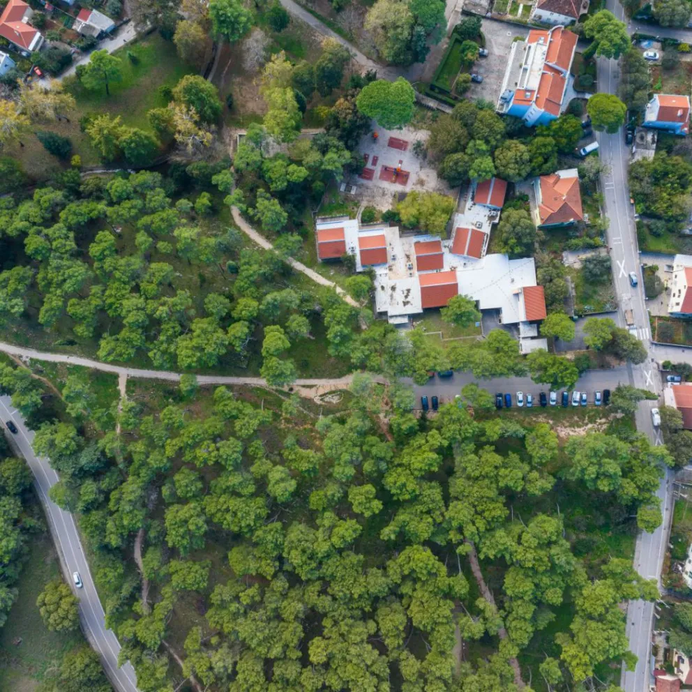 Vruljica