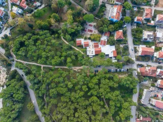 Vruljica