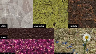 Organoid površina