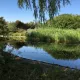 Biljni pročistač (jezerce za kupanje) u ekoselu Sieben Linden u Njemačkoj