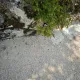 šetnica Zadvarje, Stabilizer 2000