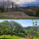 Green Hills Homestead
